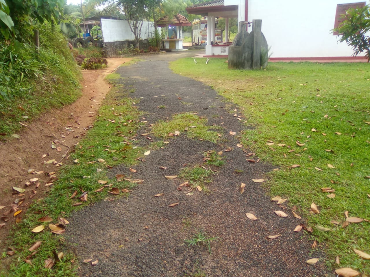 House Image 6