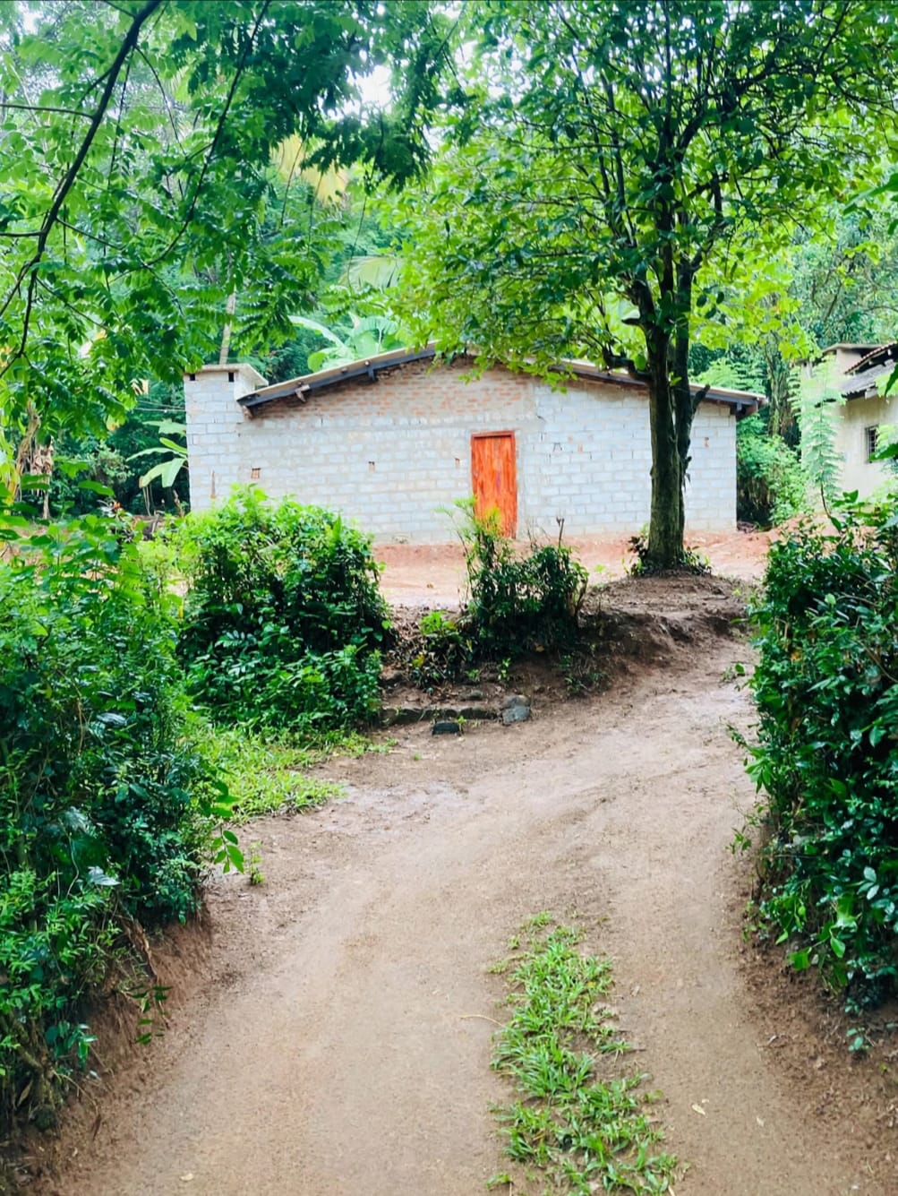 House Image 6