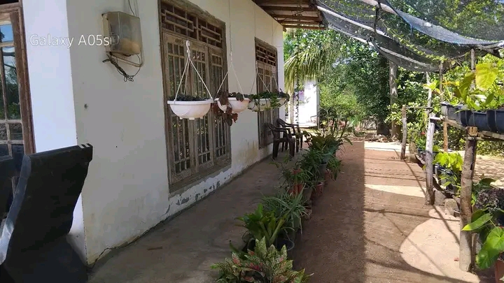House Image 2