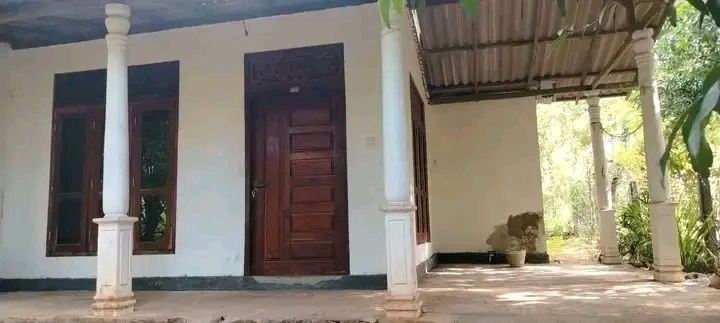 House Image 6