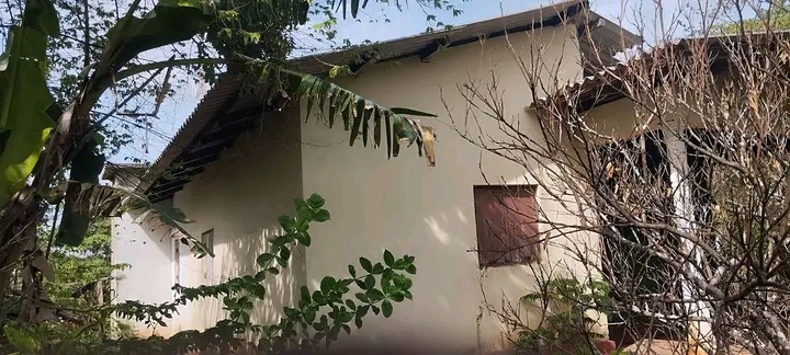 House Image 2