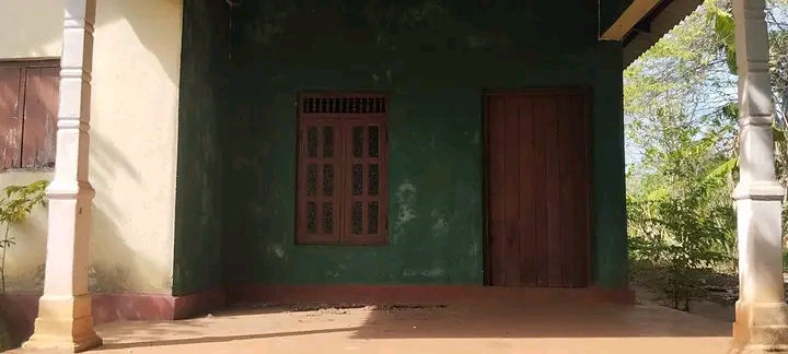 House Image 3