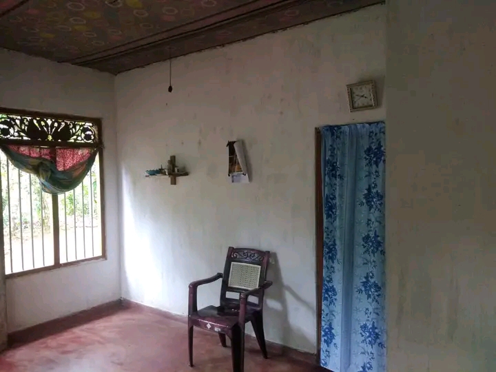 House Image 2