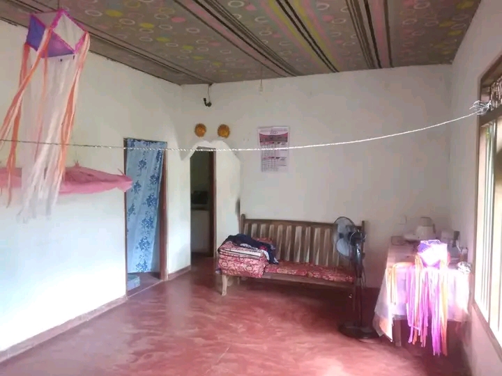 House Image 3
